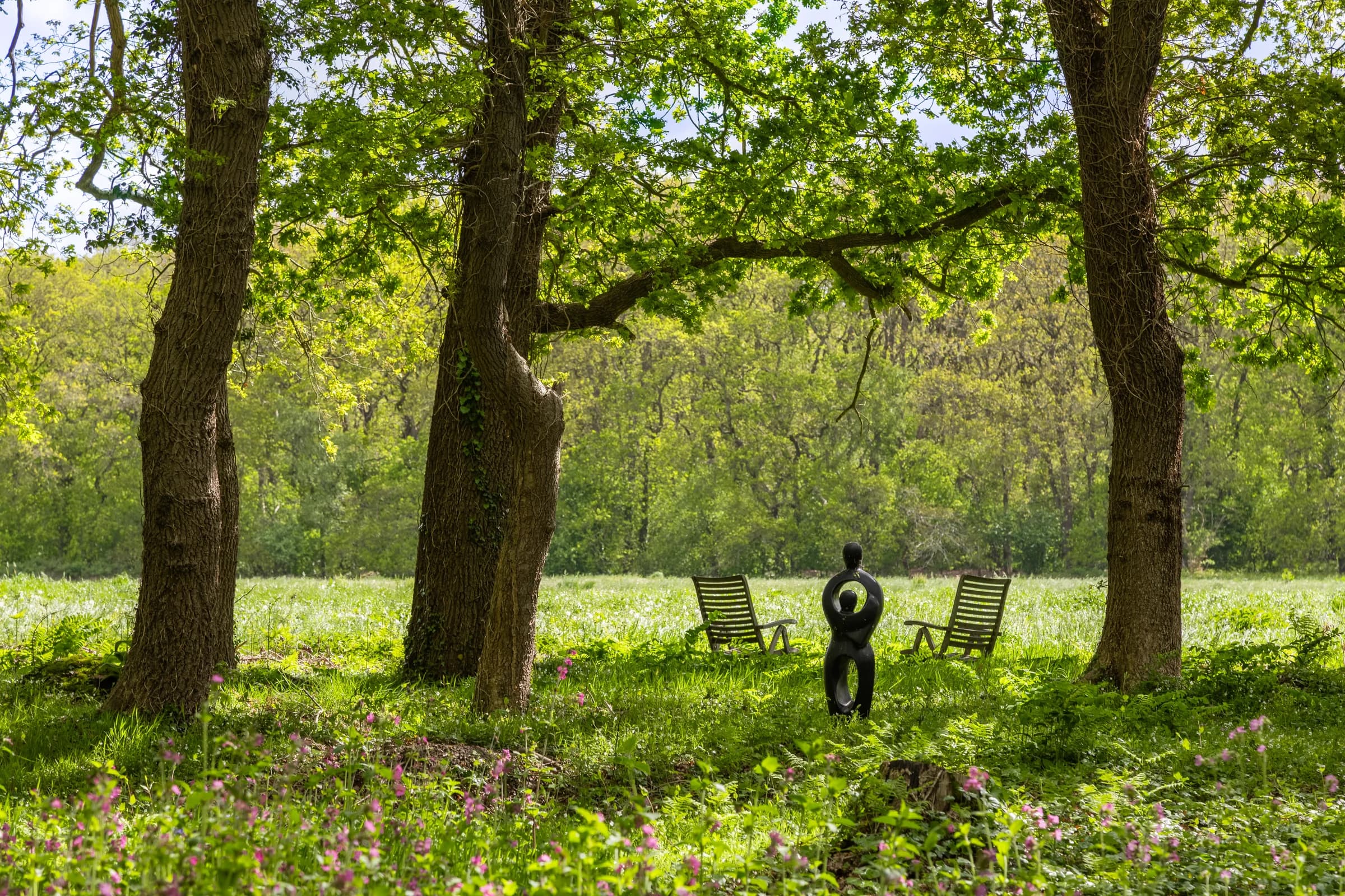 Landschap met bomen en tuinstoelen, sfeer vastgoedfotografie Friesland
